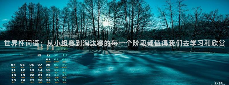 2026世界杯足球赛程时间表：世界杯词语：从小组赛到淘汰赛的每一个阶段都值得我们去学习和欣赏
