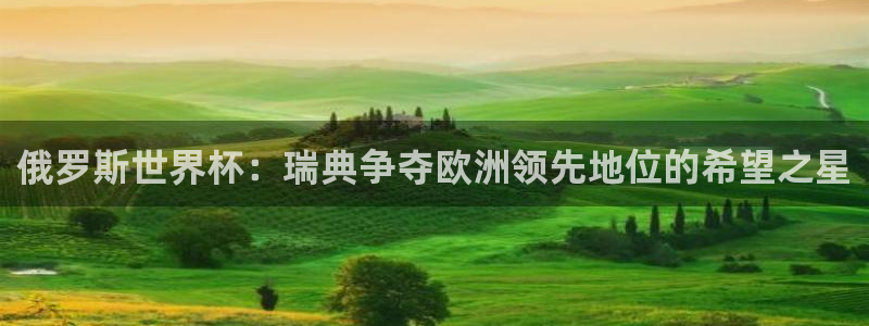 世界杯足球比赛：俄罗斯世界杯：瑞典争夺欧洲领先地位的希望之星