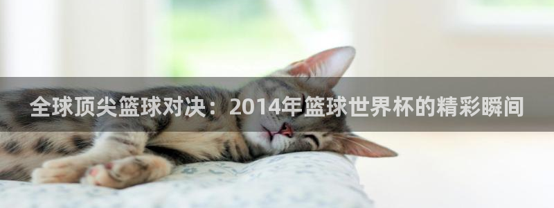 2006年世界杯冠军：全球顶尖篮球对决：2014年篮球世界杯的精彩瞬间