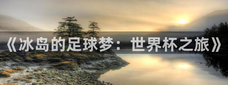 2026世界杯直播免费观看：《冰岛的足球梦：世界杯之旅》
