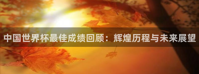 世界杯预选赛2026：中国世界杯最佳成绩回顾：辉煌历程与未来展望