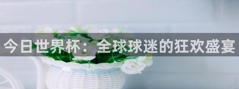 世界杯附加赛赛程表：今日世界杯：全球球迷的狂欢盛宴