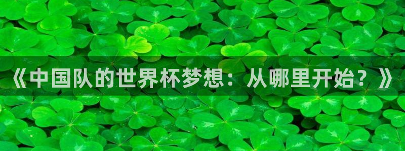 世界杯预选赛欧洲赛区积分榜：《中国队的世界杯梦想：从哪里开始？》
