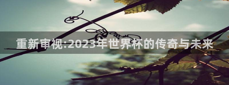 世界杯官网：重新审视:2023年世界杯的传奇与未来