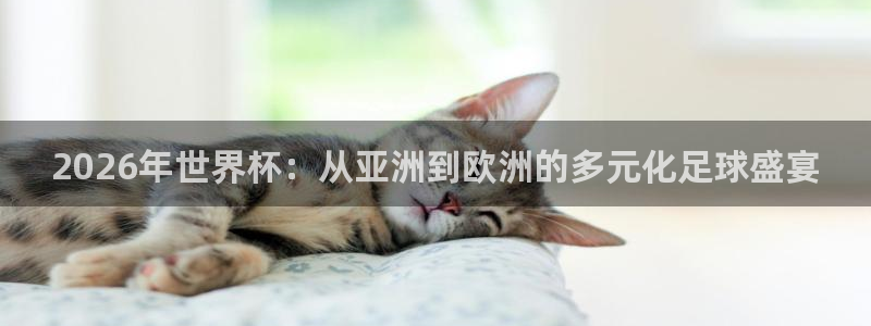 2006年世界杯冠军：2026年世界杯：从亚洲到欧洲的多元化足球盛宴