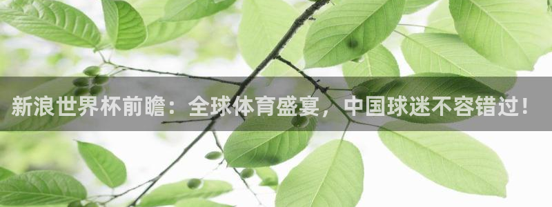 2026足球世界杯：新浪世界杯前瞻：全球体育盛宴，中国球迷不容错过！