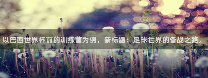 2026世界杯赛：以巴西世界杯前的训练营为例，新标题：足球世界的备战之路。