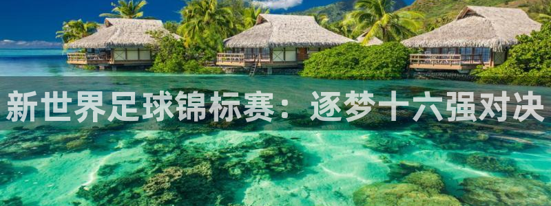 2026男足世界杯赛程：新世界足球锦标赛：逐梦十六强对决