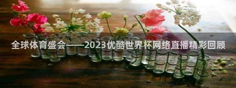 世界杯预选赛：全球体育盛会——2023优酷世界杯网络直播精彩回顾
