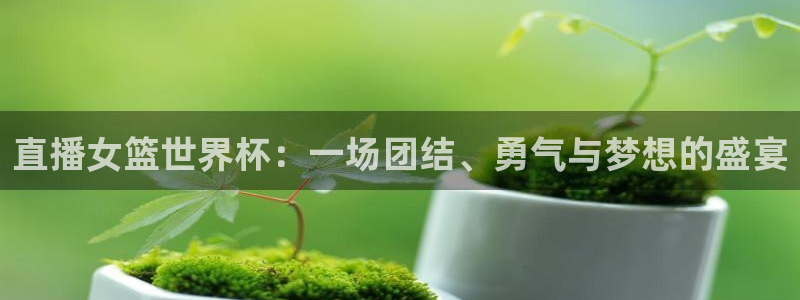 世界杯预选赛亚洲区积分榜：直播女篮世界杯：一场团结、勇气与梦想的盛宴