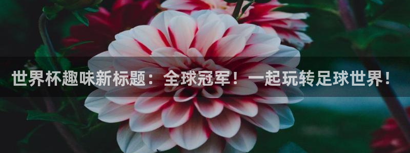 美国世界杯：世界杯趣味新标题：全球冠军！一起玩转足球世界！