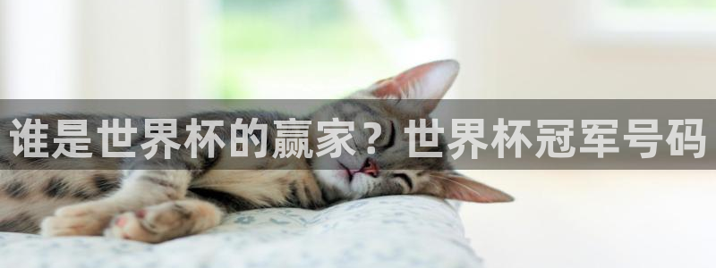 免费足球比赛直播高清：谁是世界杯的赢家？世界杯冠军号码
